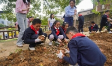 世界粮食日｜小学生在学校劳动基地里体会丰收的快乐